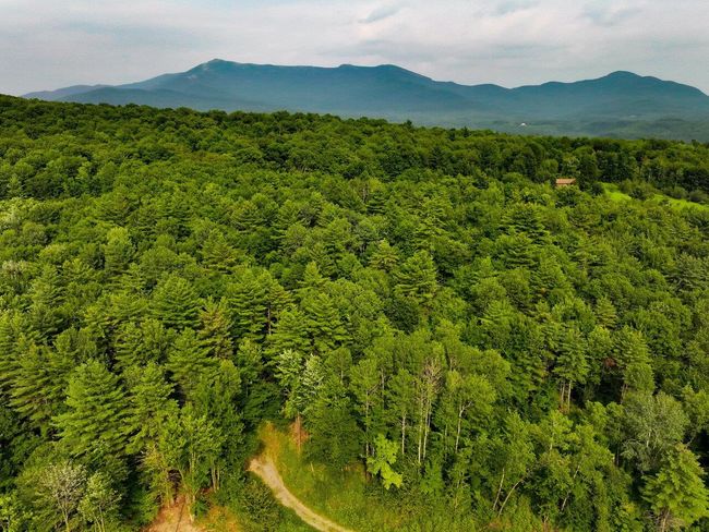 Lot 4 Piney Grove Ln, Home with 0 bedrooms, 0 bathrooms and null parking in Underhill VT | Image 4