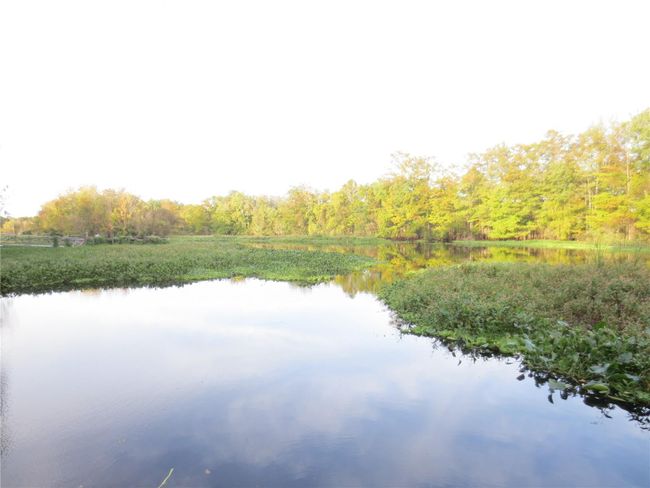 Ocala National Forest Activity | Image 94