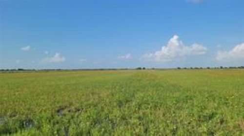 1297 Mcdonald Rd, Eagle Lake, TX, 77434 | Card Image