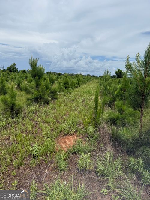 4276 County Line Rd, Lumpkin, GA, 31815 | Card Image