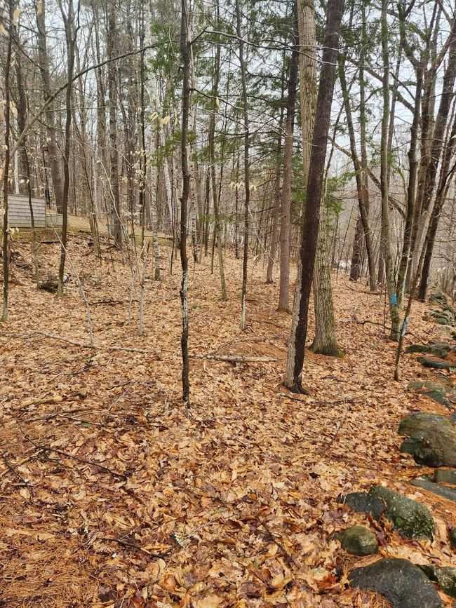 0 Dock Rd, Home with 0 bedrooms, 0 bathrooms and null parking in Gilmanton NH | Image 5