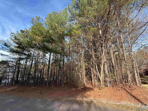 Lot 3 Sweetwater Ln, Rainbow City, AL, 35906-8661 | Card Image