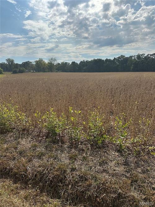 TBD Donnell Ave, Sorento, IL, 62086 | Card Image