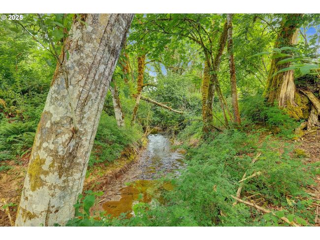 47266 Sw Carpenter Creek Rd, House other with 5 bedrooms, 6 bathrooms and 3 parking in Forest Grove OR | Image 31