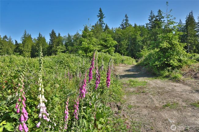 2062 Goodell Rd, Home with 0 bedrooms, 0 bathrooms and null parking in Freeland WA | Image 7
