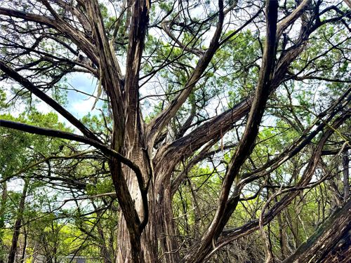 TBD Tracts 10 & 22 Goat Hill Road, Lakehills, TX, 78063 | Card Image