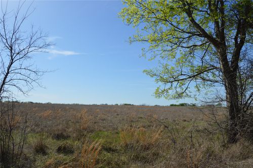 TBD Lot 3 Rs County Road 1520, Point, TX, 75472 | Card Image