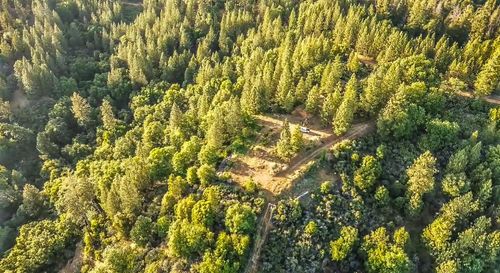2676 Silver Mountain Rd, Rail Road Flat, CA, 95248 | Card Image