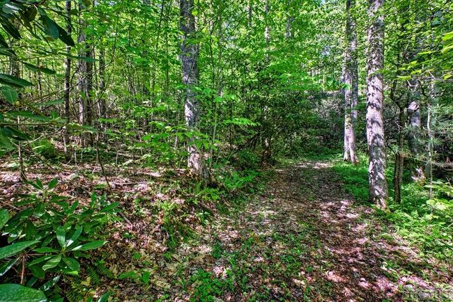 75 Gunpoint Rd, House other with 2 bedrooms, 2 bathrooms and null parking in Cullowhee NC | Image 18