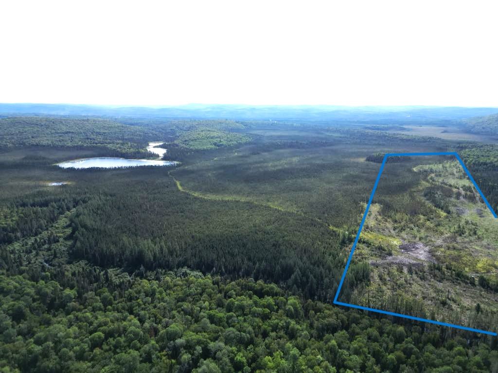 Land in Sainte-Anne-du-Lac 2