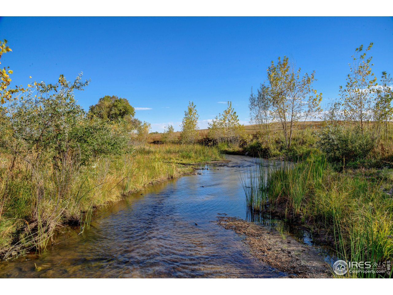 Land in Berthoud 5