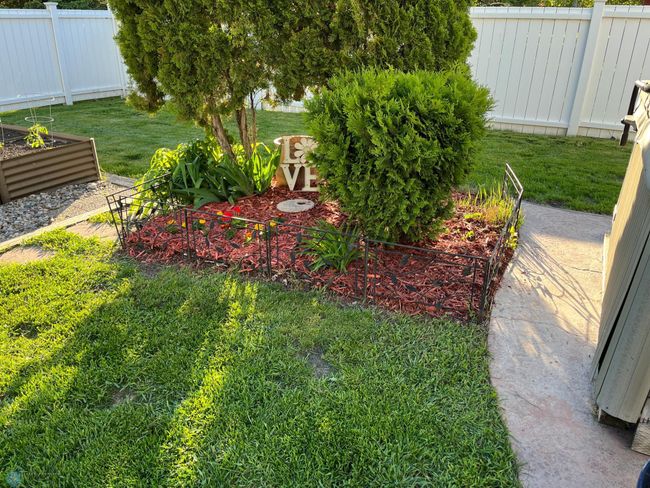 Landscaping | Image 53