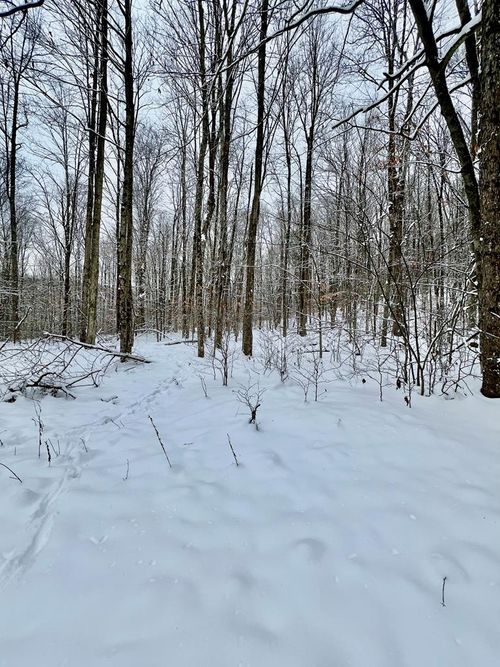 00 Brizzee Hollow Rd, Genesee, PA, 16923 | Card Image
