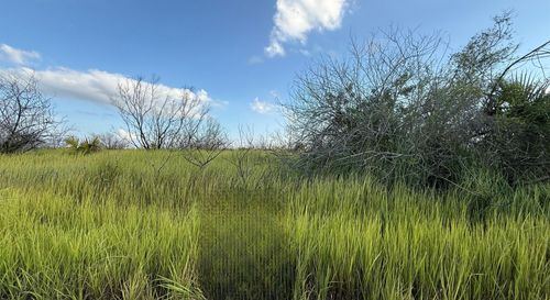 1510 Briscoe Cir Sw, Palm Bay, FL, 32908 | Card Image