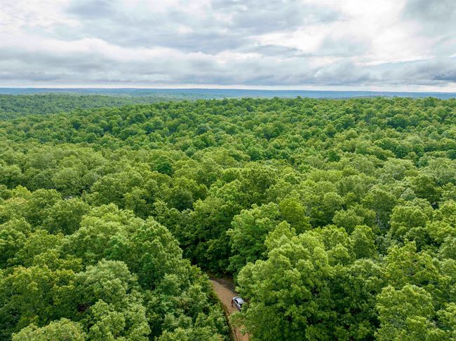 00 Red Fox Rd, Home with 0 bedrooms, 0 bathrooms and null parking in Hardy AR | Image 5