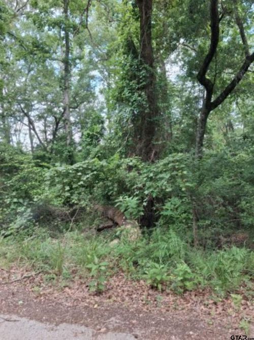 TBD Dogwood Dr, Murchison, TX, 75778 | Card Image
