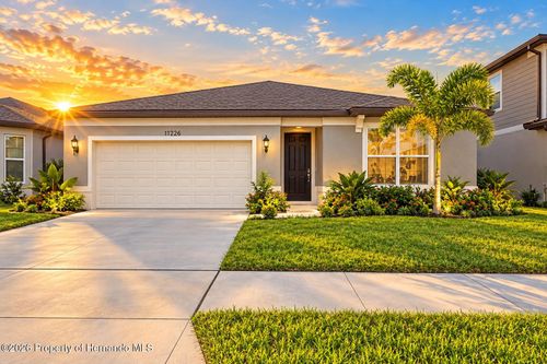 11226 Sycamore Glen Loop, THONOTOSASSA, FL, 33592-3428 | Card Image