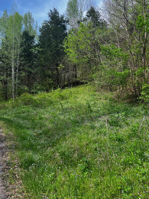 0 Weber Lane, Celina, TN, 38551 | Card Image