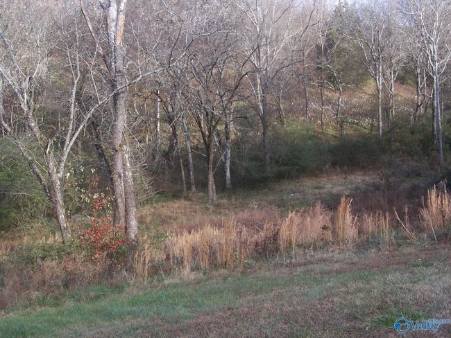 2176 Columbia Hwy, Home with 0 bedrooms, 0 bathrooms and null parking in Pulaski TN | Image 8