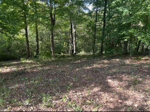 165 Overlook Ct, Kingston Springs, TN, 37082-9507 | Card Image