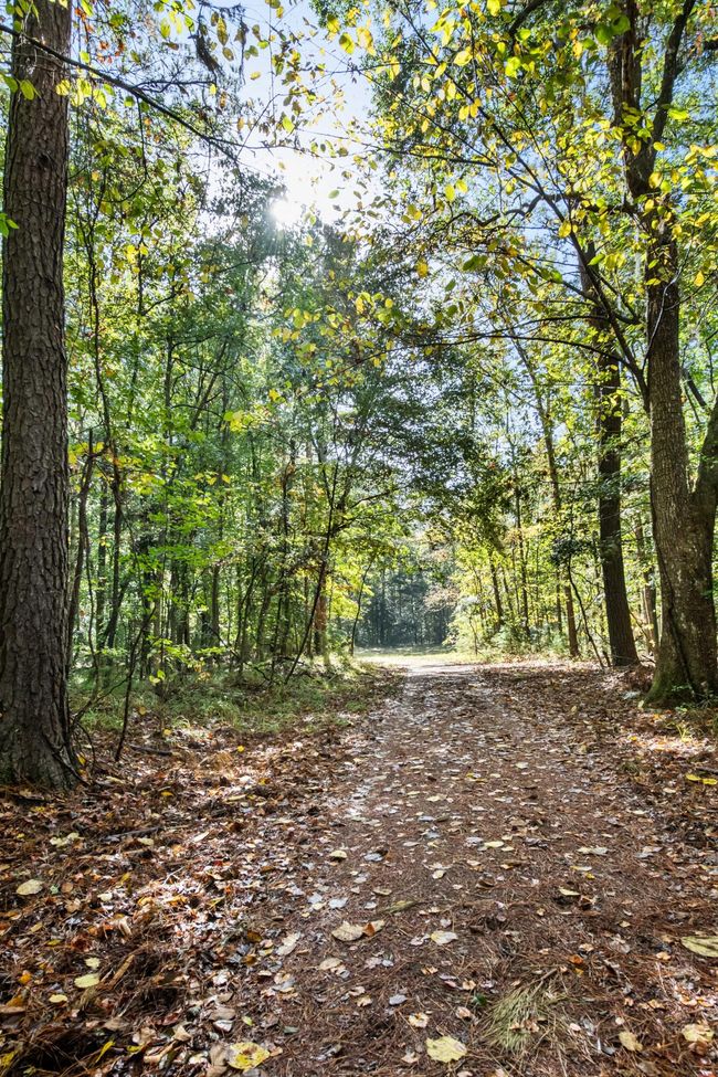 HFL_OSBORNE TRACT-24 | Image 26