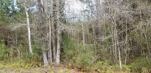 0 Randolph Drive, Smoaks, SC, 29481 | Card Image