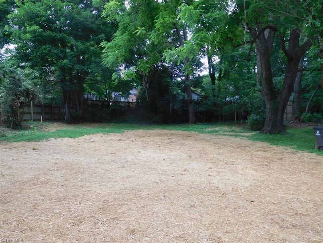 BACK YARD. | Image 28