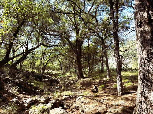 TBD Lot 2 Sandy Mountain, Sunrise Beach, TX, 78643 | Card Image
