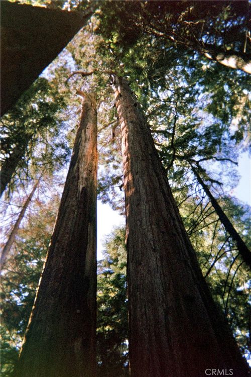 54584 Ponderosa Dr, Springville, CA, 93265-9533 | Card Image