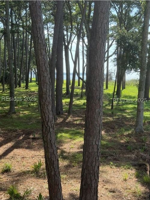 87 Martinangel Ln, Daufuskie Island, SC, 29915-9142 | Card Image