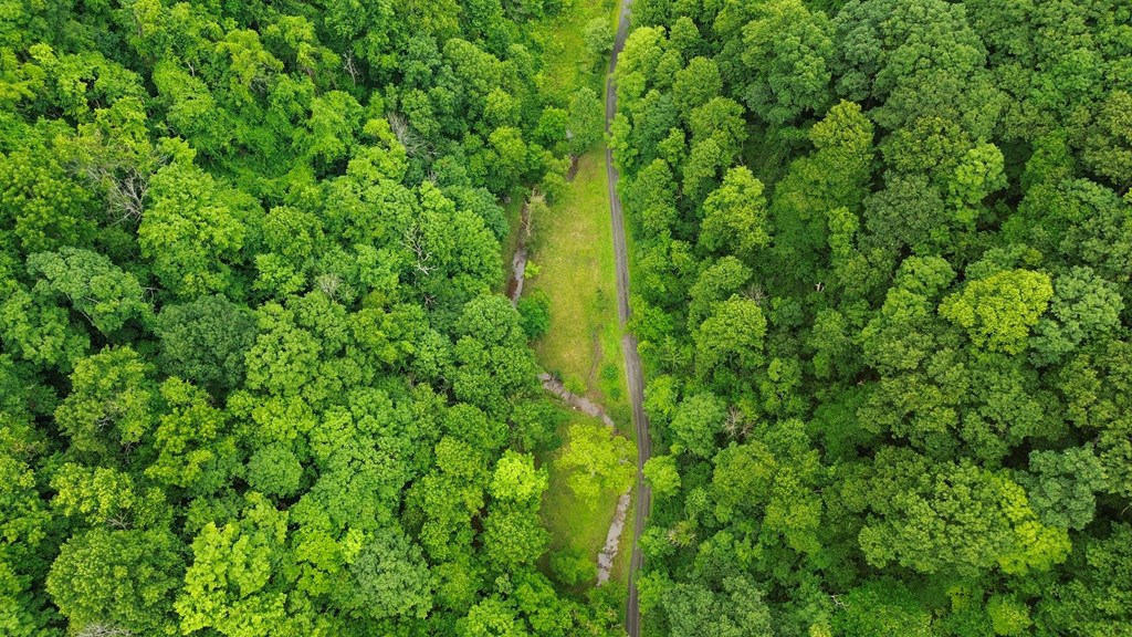 Land in Honaker 5