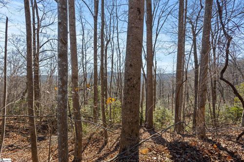 0 Dogwood Dr, Lake Lure, NC, 28746 | Card Image