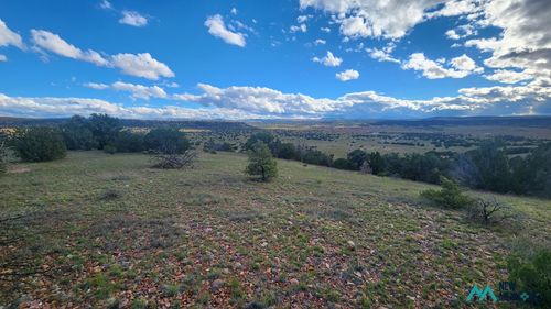 196-306 Deer Cir, Quemado, NM, 87829 | Card Image