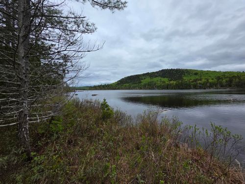 75 Lombard Road, Lakeville, ME, 04487 | Card Image