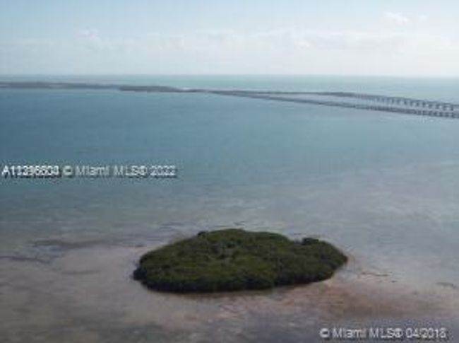 99 Pine Ave, Home with 0 bedrooms, 0 bathrooms and null parking in Big Pine Key FL | Image 6