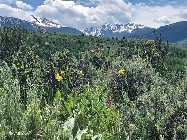 Homestead Open Space Trail | Image 46