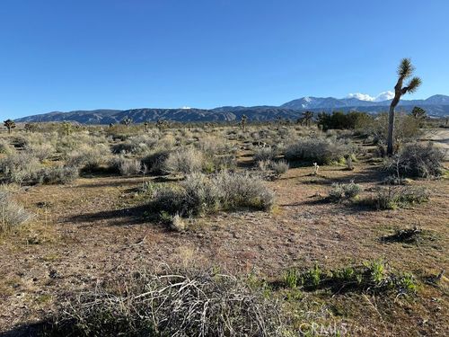 206 X9 206 S Vic Ave, Llano, CA, 93544 | Card Image