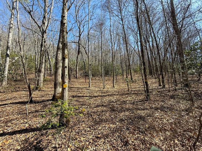 3088 Little Choga Rd, House other with 1 bedrooms, 1 bathrooms and null parking in Topton NC | Image 5