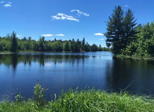 1533 Stone Rd, Gouverneur, NY, 13642-3439 | Card Image