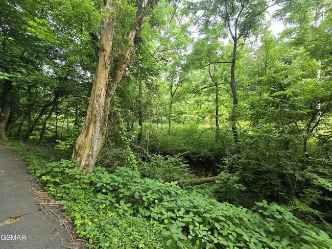 8 Mccarter Hollow Rd, Home with 0 bedrooms, 0 bathrooms and null parking in Sevierville TN | Image 18
