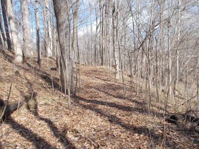 0 N State Highway 7, Home with 0 bedrooms, 0 bathrooms and null parking in Scipio IN | Image 26