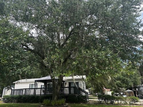 398-14104 253rd Avenue Rd Ne, FORT MC COY, FL, 32134 | Card Image