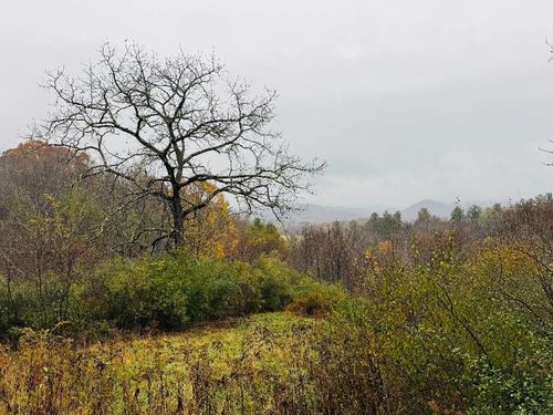 TBD Yonder Ln, Troutdale, VA, 24378 | Card Image