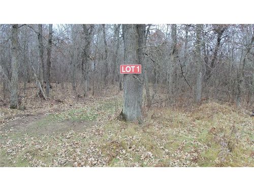 Lot 1 300th St, Saint Croix Falls, WI, 54024 | Card Image