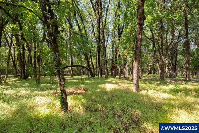 38404 Payne Dr, House other with 3 bedrooms, 2 bathrooms and null parking in Lebanon OR | Image 34