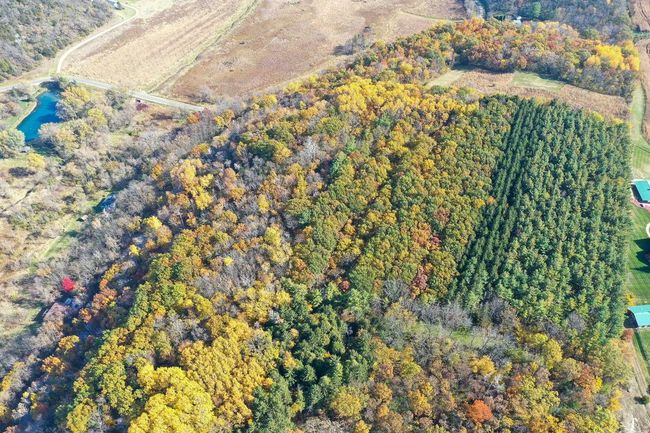 28.7 Acres Turkey Road, Home with 0 bedrooms, 0 bathrooms and null parking in BERRY WI | Image 16