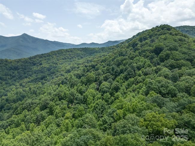 000 White Rock Branch Rd, Home with 0 bedrooms, 0 bathrooms and null parking in Candler NC | Image 28