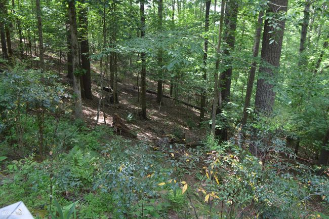 445 White Rapids Dr, House other with 2 bedrooms, 1 bathrooms and 4 parking in Demorest GA | Image 14