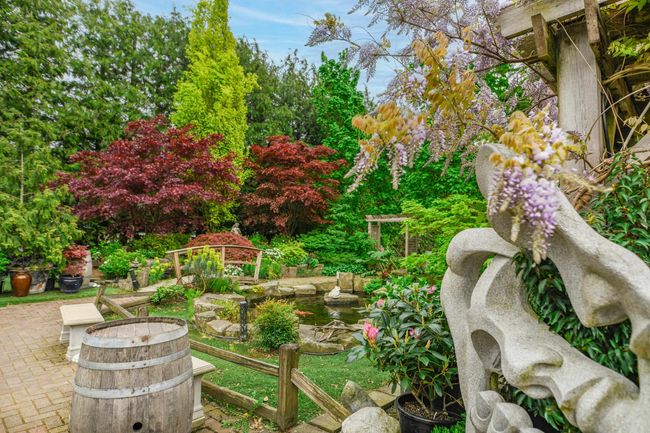View of yard with a patio | Image 29