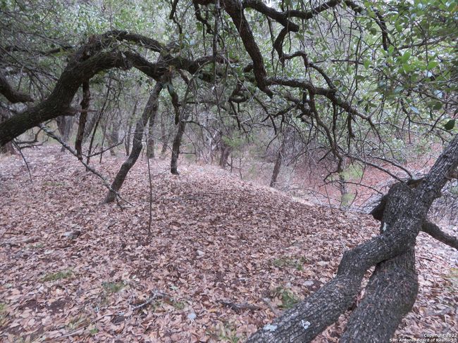 LOT 304-306 Deer Trl, Home with 0 bedrooms, 0 bathrooms and null parking in Pipe Creek TX | Image 7
